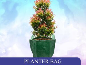 PLANTER BAG 34x28 (25 L)