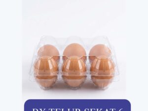 BX TELUR SEKAT 6